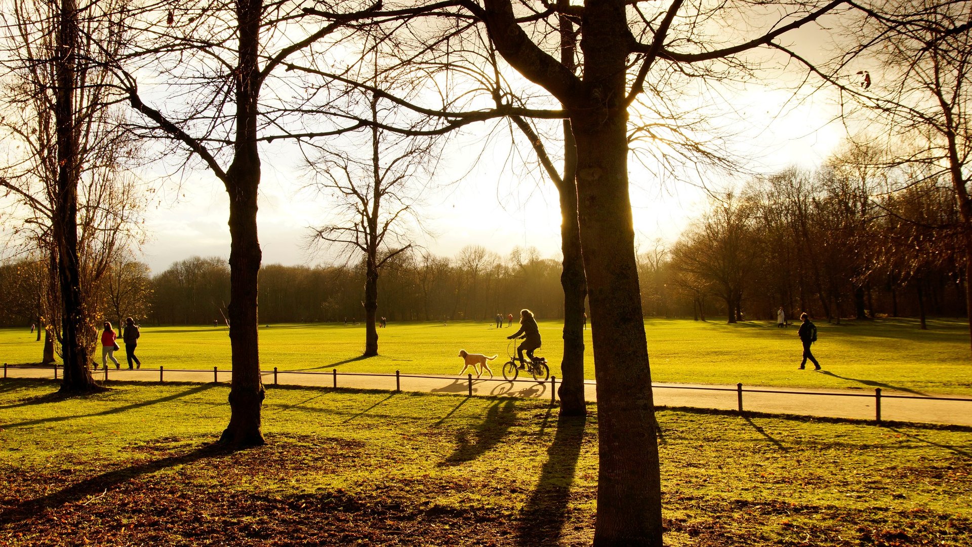 Mit Call a Bike durch Münchens Parks.